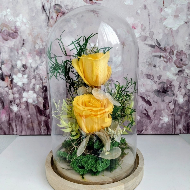 Roses jaunes sous cloche