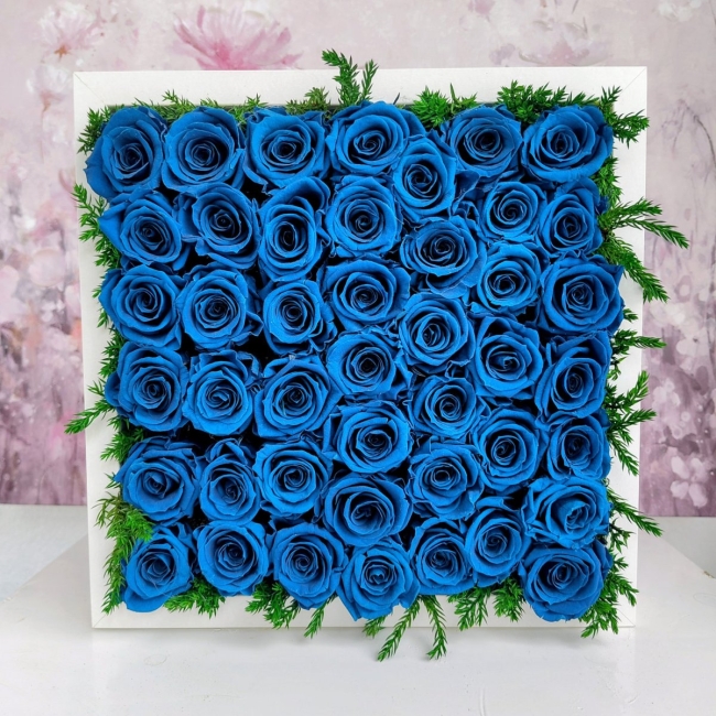 Cadre de roses stabilisées bleues