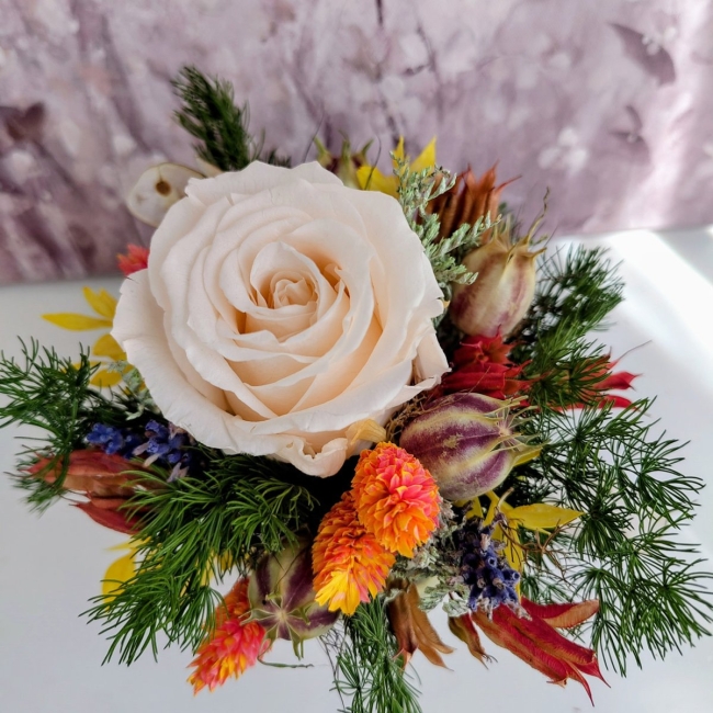 Petit mais juste magic